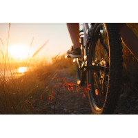 sendero-bicicletas-montana